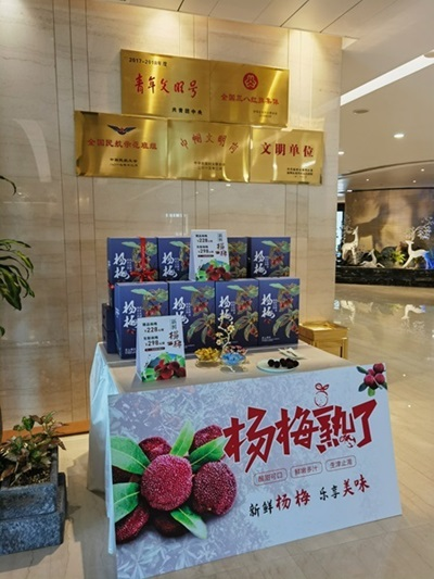 温州贵宾公司推出杨梅伴手礼盒
